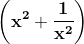 \mathbf{\left (x^2 + \frac{1}{x^2} \right )}